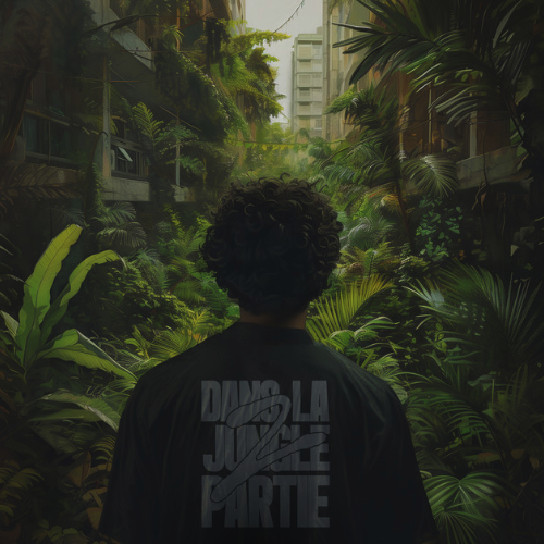 Pochette de Dans La Jungle 2 par Mougli