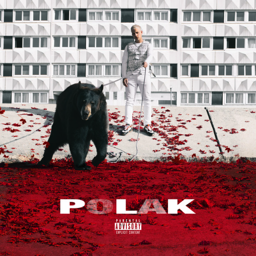 Pochette de Polak par PLK